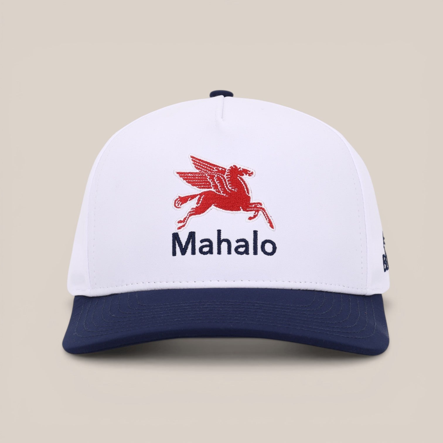 MAHALO PEGASUS