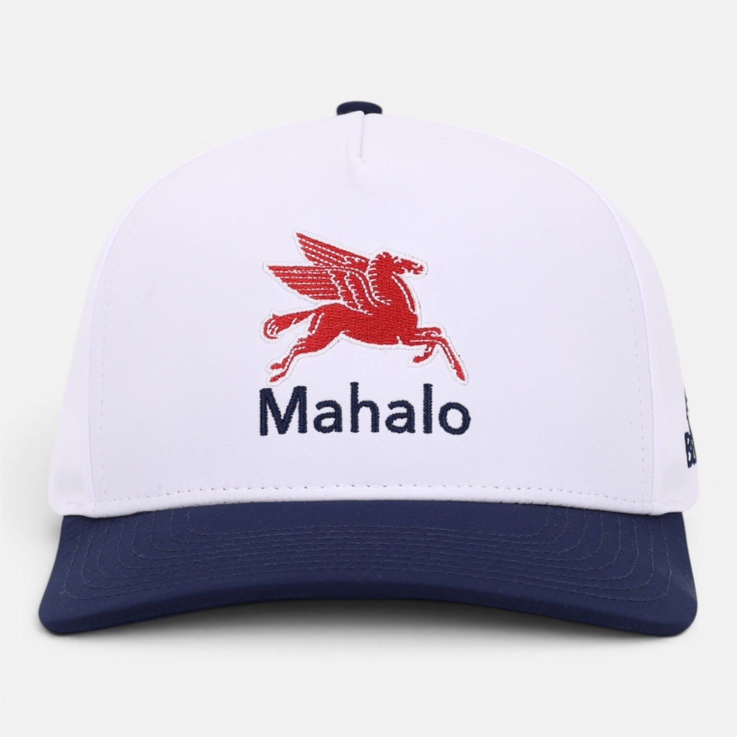 MAHALO PEGASUS