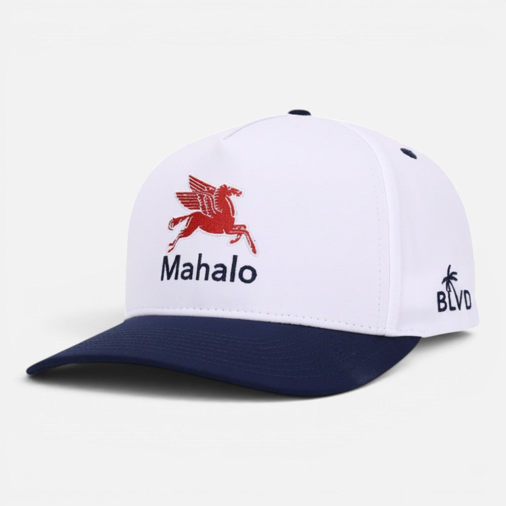 MAHALO PEGASUS