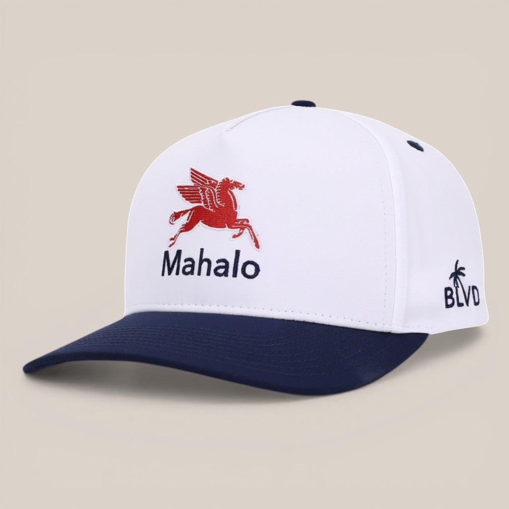 MAHALO PEGASUS